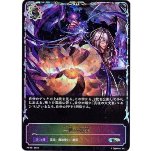画像: 【PR】【SL仕様】一世の探究