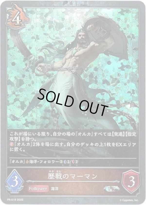 画像1: 【PR】歴戦のマーマン (1)