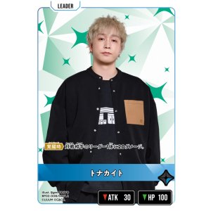 画像: トナカイト