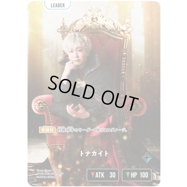 画像1: 【LRPP】トナカイト (1)