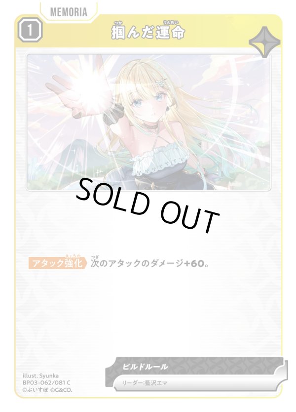 画像1: 掴んだ運命 (1)