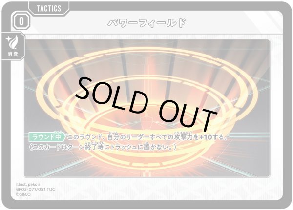 画像1: パワーフィールド (1)