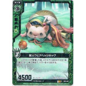 画像: 獣人ウェアヘッジホッグ