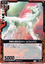 画像: 美麗な蛋白石オパールフォックス