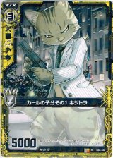 画像: カールの子分その1 キジトラ