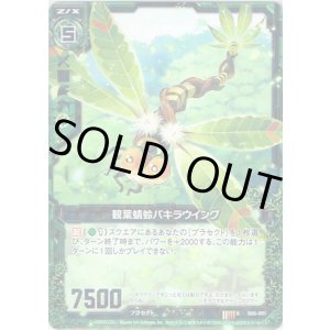 画像: 【ホログラム】観葉蜻蛉パキラウイング