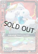 画像: 【ホログラム】内気な白金プラチナハムスター