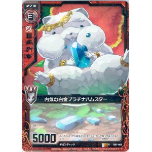 画像: 内気な白金プラチナハムスター