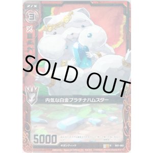 画像: 【ホログラム】内気な白金プラチナハムスター
