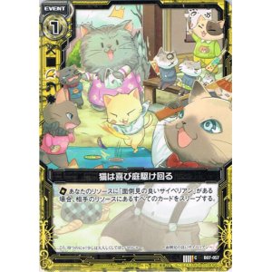 画像: 猫は喜び庭駆け回る