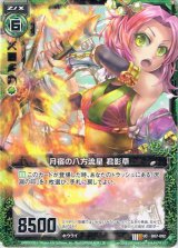 画像: 【ホログラム】月宿の八方流星 君影草