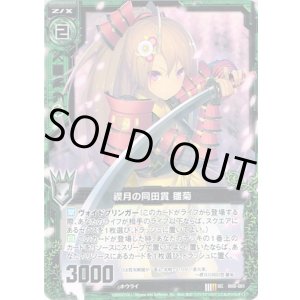 画像: 【ホログラム】禊月の同田貫 雛菊