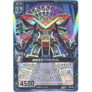画像: 観覧変形プラセオジム