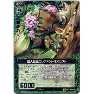 画像: 最大巨虫エレファントオオカブト