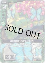 画像: 【ホログラム】婉美躑躅アゼリアキャタピラー