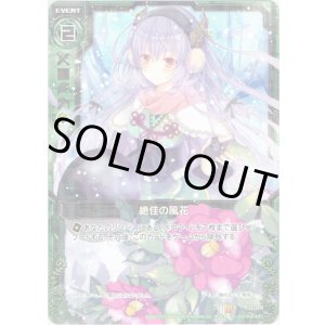 画像: 【ホログラム】絶佳の風花