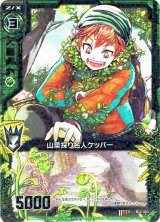 画像: 【ホログラム】山菜採り名人ケッパー