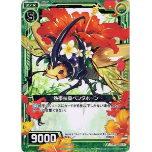 画像: 【ホログラム】熱帯扶桑ペンタホーン