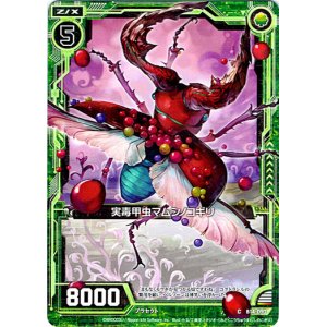 画像: 【ホログラム】実毒甲虫マムシノコギリ