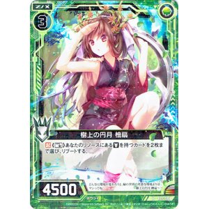画像: 樹上の円月 檜扇
