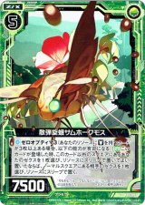 画像: 【ホログラム】散弾旋蛾サムホークモス