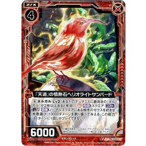 画像: 【ホログラム】『天道』の情熱石ヘリオライトサンバード