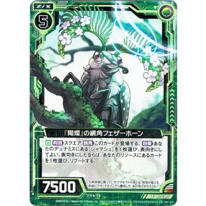 画像: 【ホログラム】『陽燦』の網角フェザーホーン