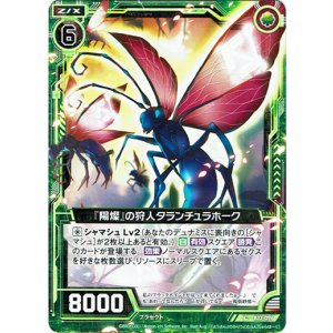 画像: 【ホログラム】『陽燦』の狩人タランチュラホーク