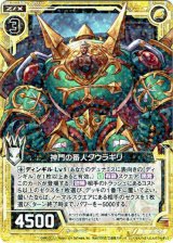 画像: 神門の番人ダウラギリ