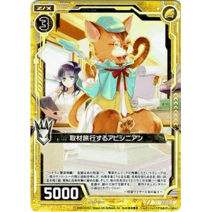 画像: 【ホログラム】取材旅行するアビシニアン