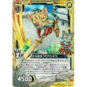 画像: 【ホログラム】小さな勇気クロアシネコ