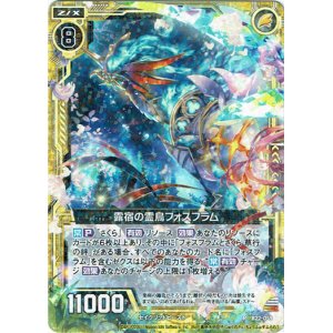 画像: 露宿の霊鳥フォスフラム