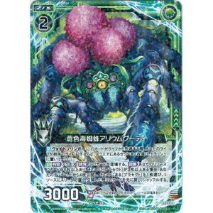 画像: 蒼色毒蜘蛛アリウムグーティ