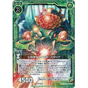 画像: 七色甲虫レインボースタッグ