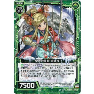 画像: 【ホログラム】早春の芽吹 金縷梅