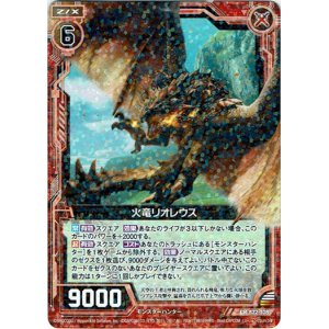 画像: 火竜リオレウス