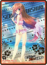 画像: ※傷有り品（返品交換対象外）【IGR】倉敷世羅