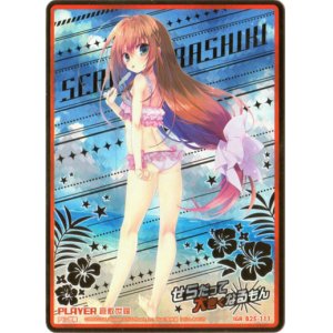画像: ※傷有り品（返品交換対象外）【IGR】倉敷世羅