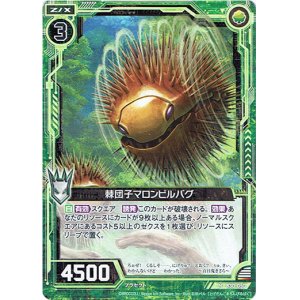 画像: 棘団子マロンピルバグ