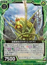 画像: 滋養跳虫ラカタンレッドアイ