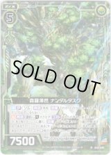 画像: 【ホログラム】森羅渾然 ナンダルタスク