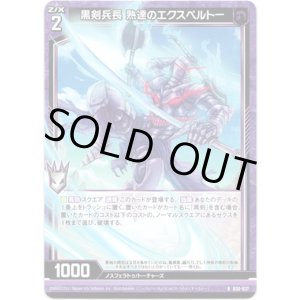 画像: 【ホログラム】黒剣兵長 熟達のエクスペルトー