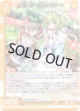 画像: ハピネスタイム メインクーン