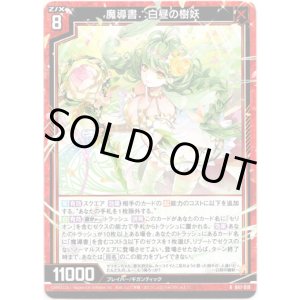 画像: 【ホログラム】魔導書∴白昼の樹妖
