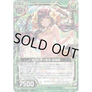 画像: 【ホログラム】海辺に咲く龍花 娑伽羅
