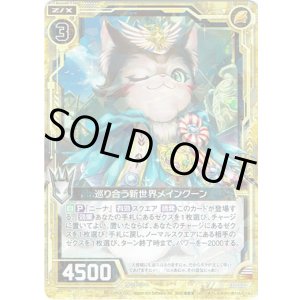 画像: 巡り合う新世界メインクーン