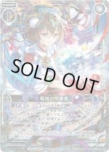 画像: 竜域の守護者