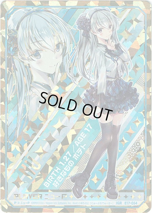 画像1: 【IGR】ニューP (1)