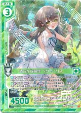 画像: 清らかな萌芽 ペクティリス