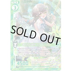 画像: 【ホログラム】清らかな萌芽 ペクティリス